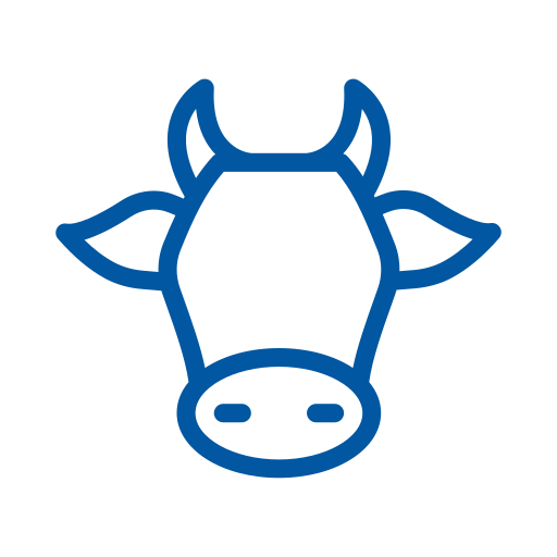 Krmivo pro zvířata