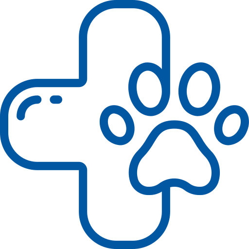 Veterinární diagnostika